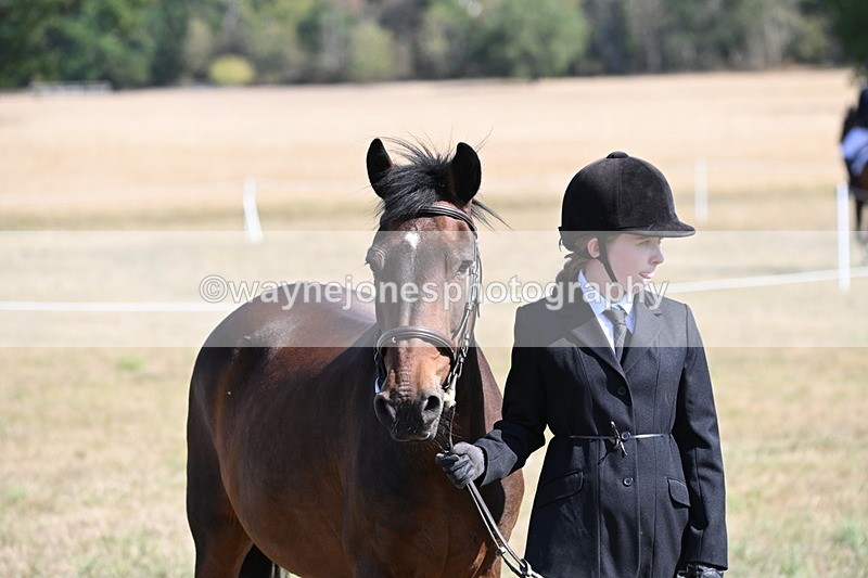 WJ6_7623 - Class 34 Judges Choice