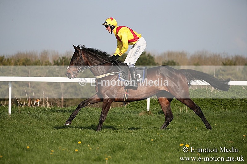 PtP 210418 555 - South & West Wilts Point-to-Point Larkhill 21/04/18