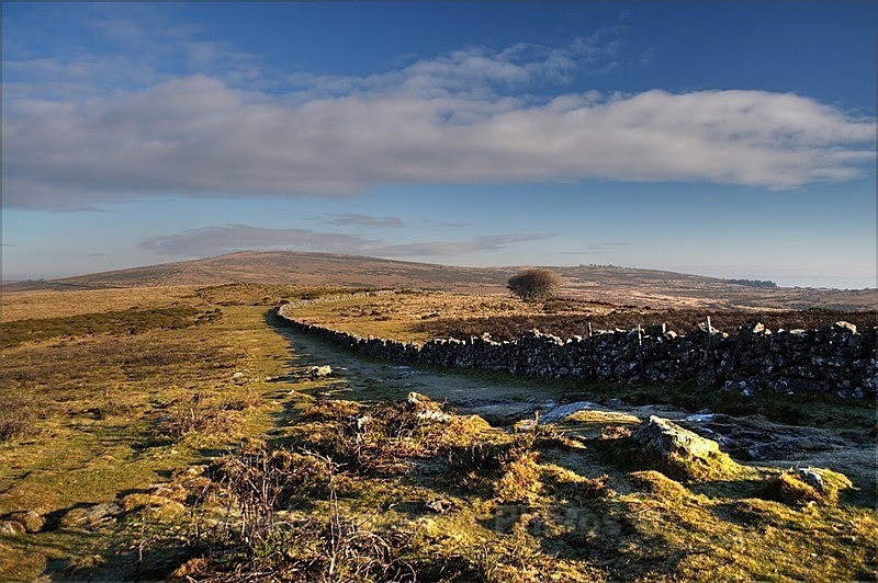 Dartmoor (identify) - Dartmoor