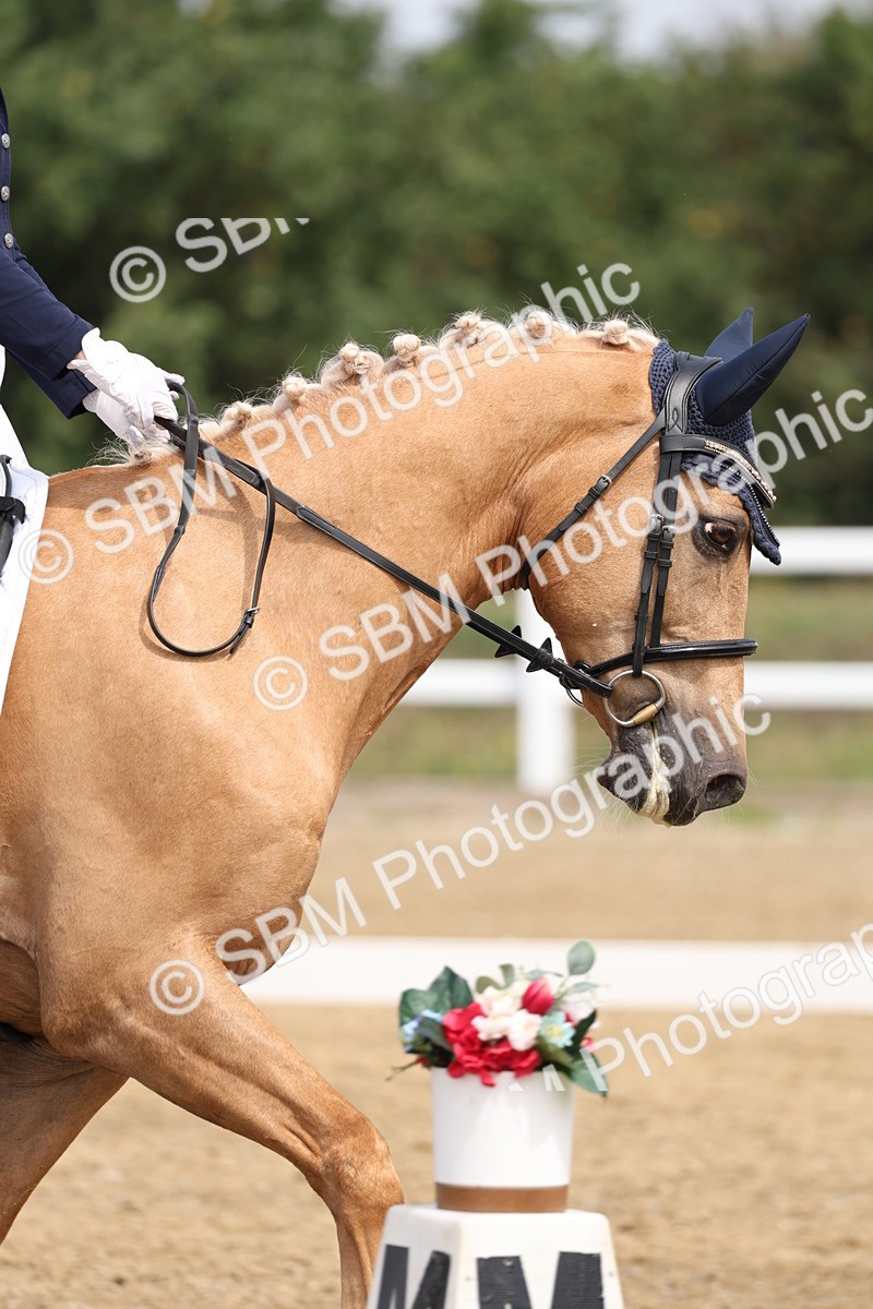 SBM_006127 - Class 6 - novice 6 - 11.50-12.46