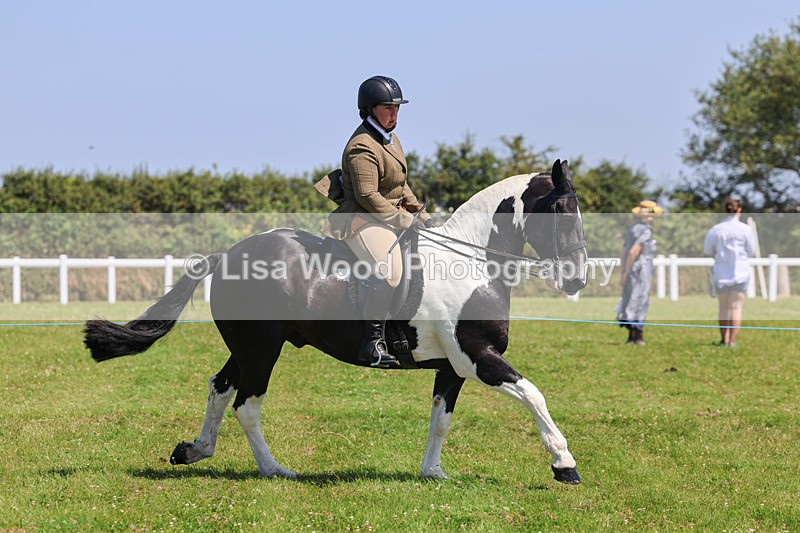 IMG_2512 - Class 38: Veteran Ridden