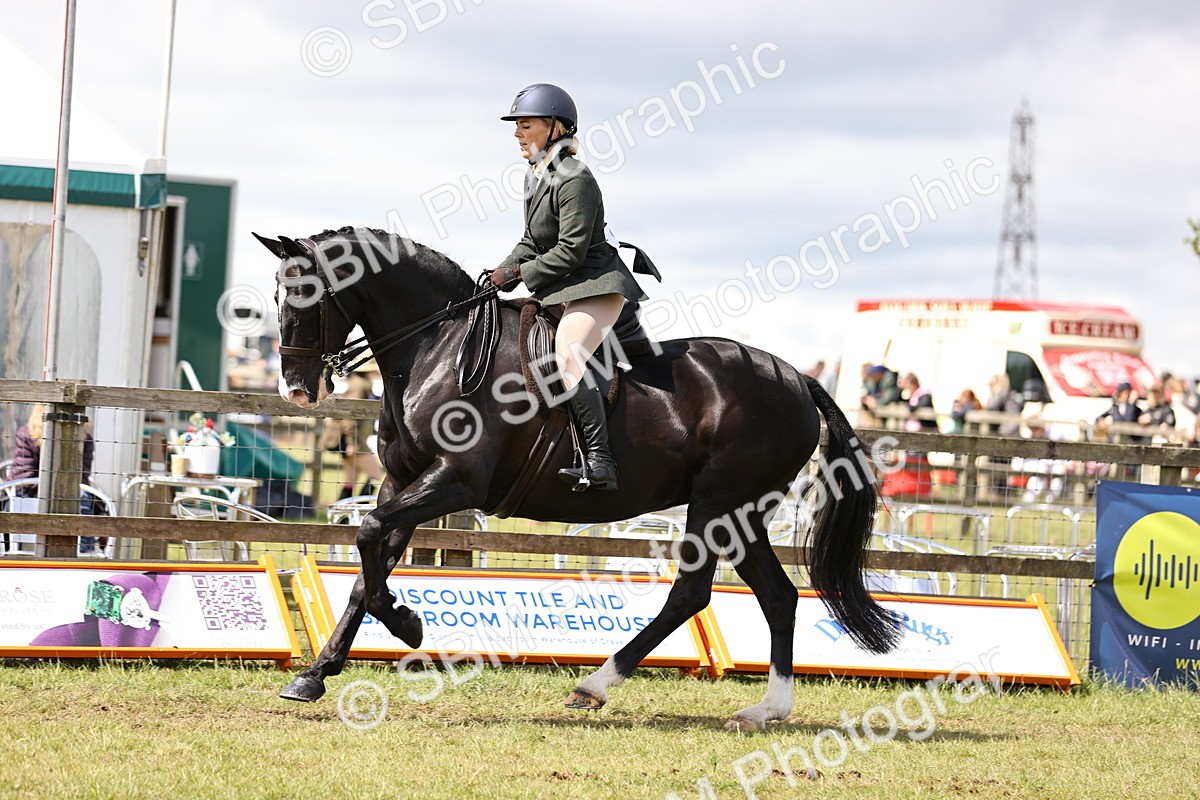 SBM_14554 - Class 88-89 - LIHS BSHA Rising Star of Ridden Hunter Type