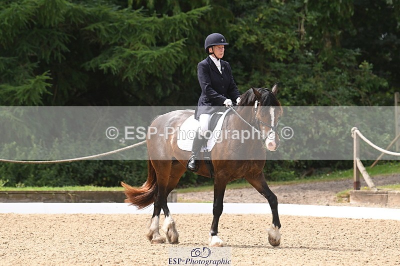 250720A-115815-10095 - 079-Amanda.Williams-Llanarth.Westminster