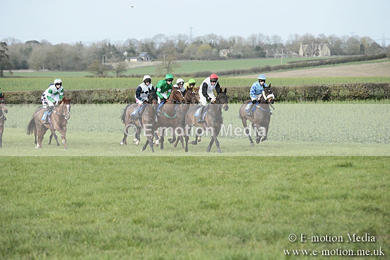 PtP 230319 413 - VWH Hunt Siddington Point-to-Point Racing 23/03/19