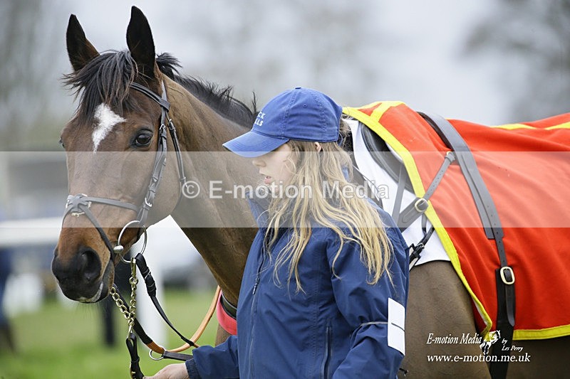 PtP 200222 351 - Countryside Alliance PtP Badbury Rings 20/02/22