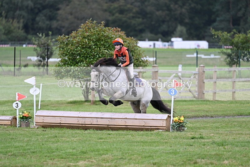 WJ7_8711 - 60cm Time 12:31 to 12:50