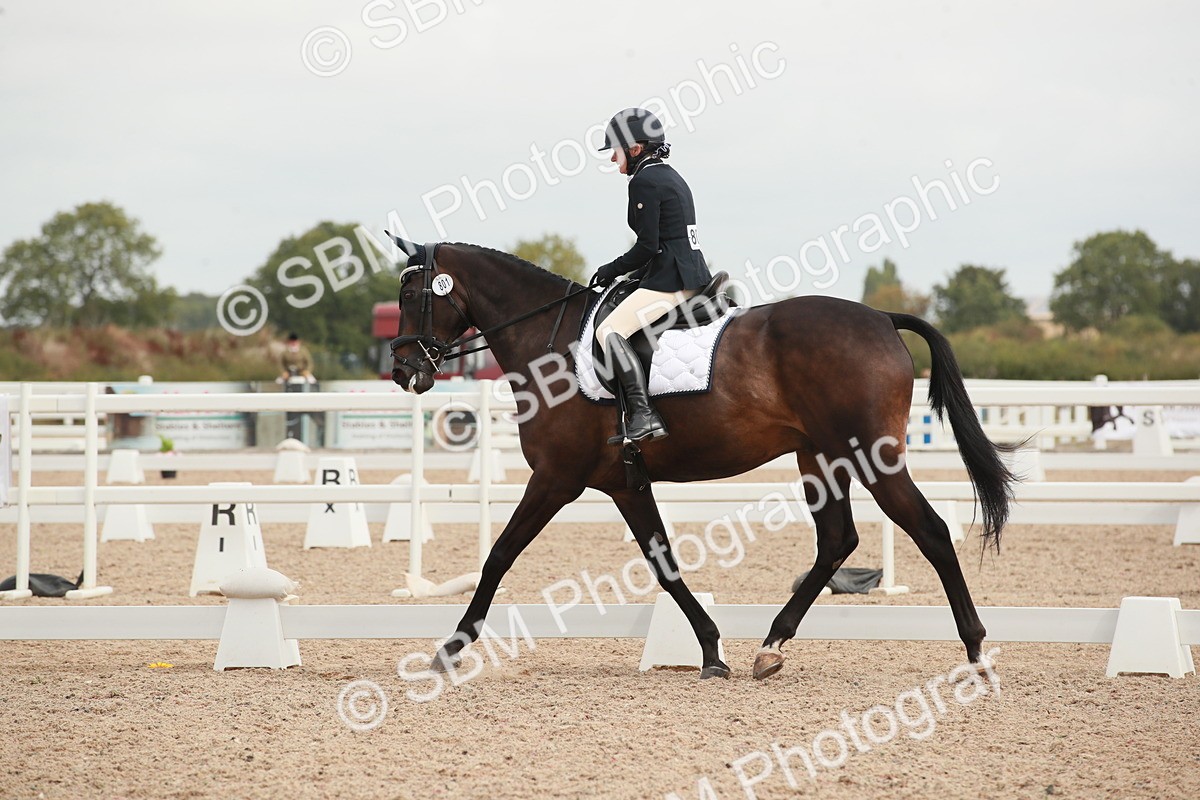 SBM_02739 - Class 30 - Intro 1