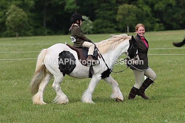 IMG_2299 - Working Hunter