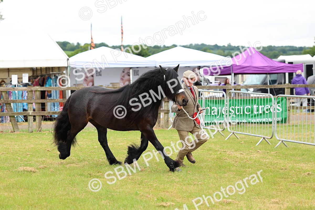 SBM_00584 - Class 58-67 - M&M Non Welsh Pony In hand