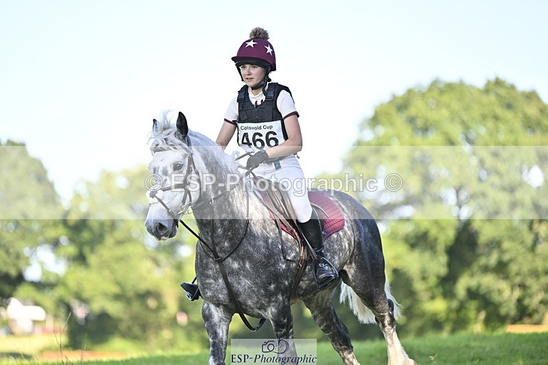 240811A-171413-06799 - 466-