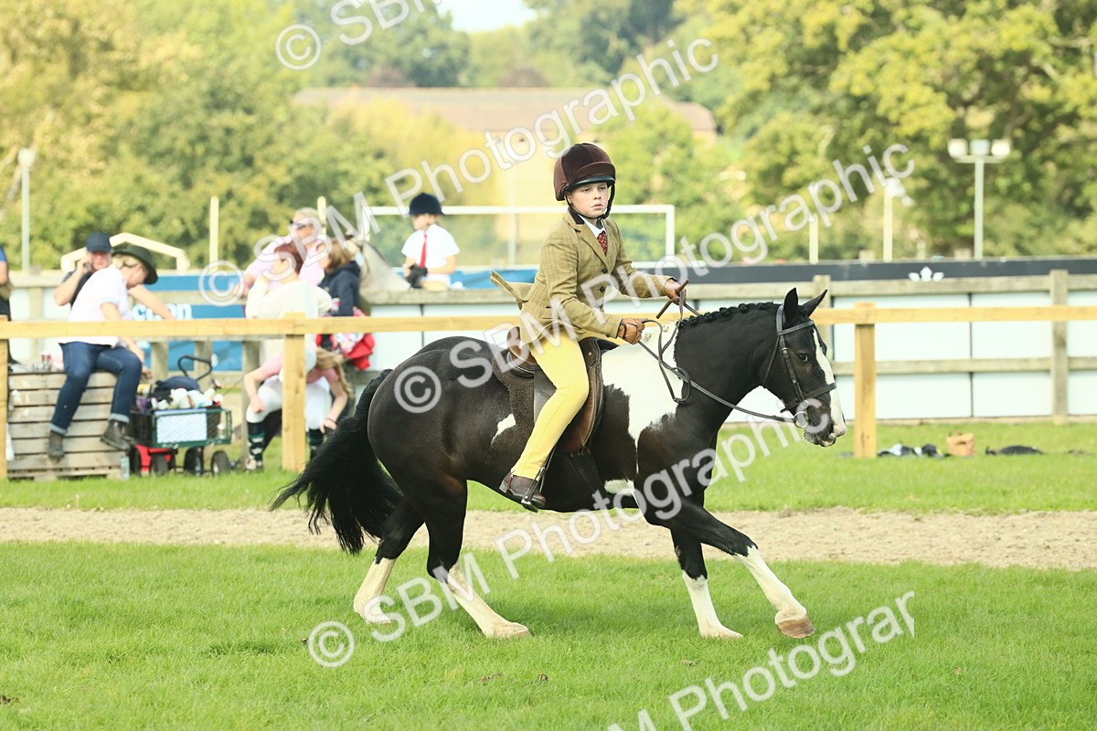 SBM_68891 - S58 - Mini Show Cob Ridden