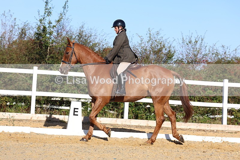 3E7A5196 - Class 7: Novice Ridden Hunter/Hack/RH/Cob