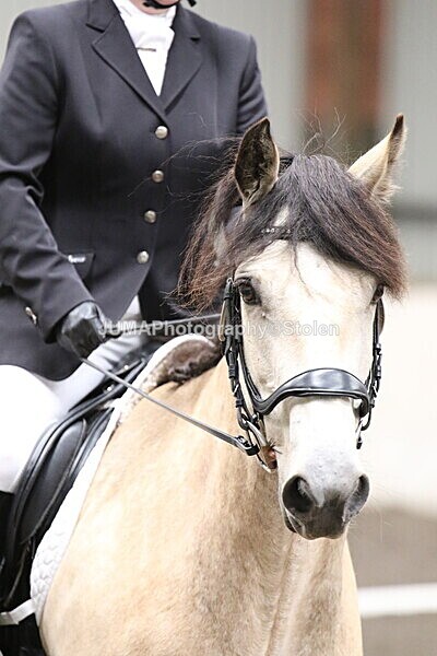 SIAL5200 - CAbin Dressage 5th july 2025