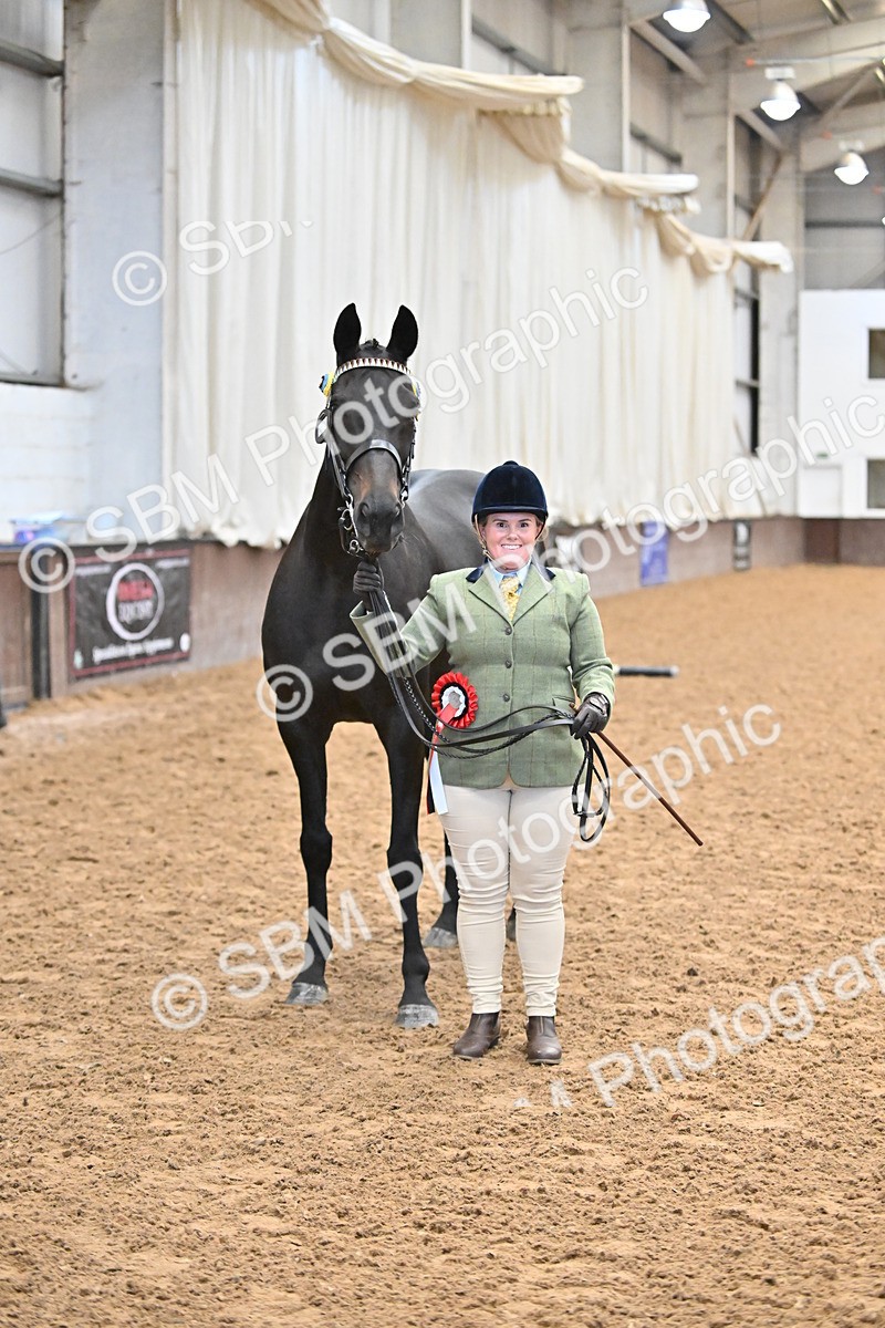 SBM_000156 - Class 6 - BSHA In Hand Racehorse to Show Horse
