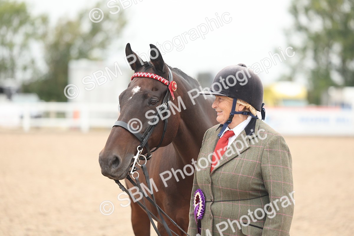 SBM_19909 - Class 318 - IH Part Bred Horse-Pony