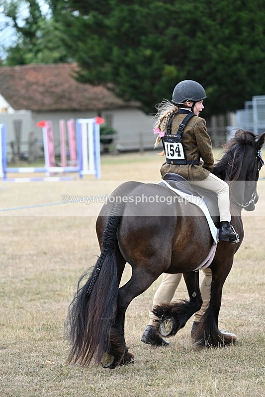 WJ7_6627 - Class 1 Lead Rein Pony