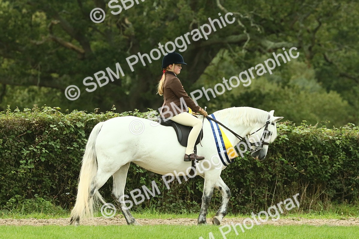 SBM_75133 - Super Supreme Championship