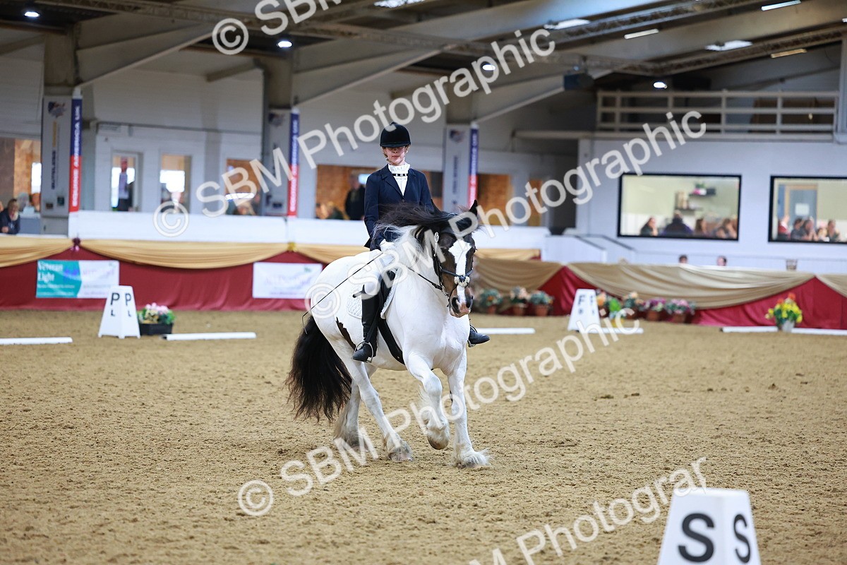 SBM_06632 - Class 61 - Dressage to Music