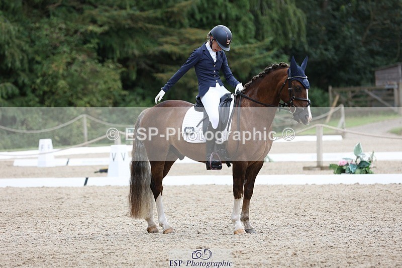 230812-120333-03919 - Cls 5 Novice Bronze 11.15 to 12.50 break