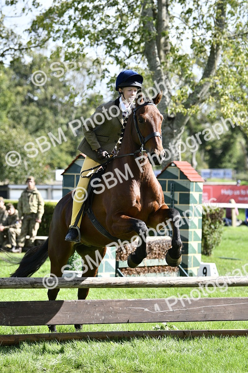SBM_45707 - S33 - Working Hunter Pony