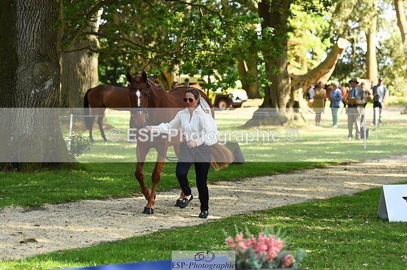 230524-164326-01047 - 112-BILLY_MAPLE-Kitty_King-WEDTrotUp+DR