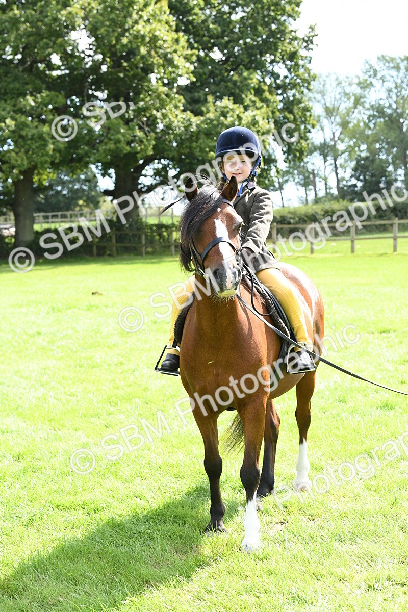 SBM_42586 - S20 - Lead Rein Mountain & Moorland Pony