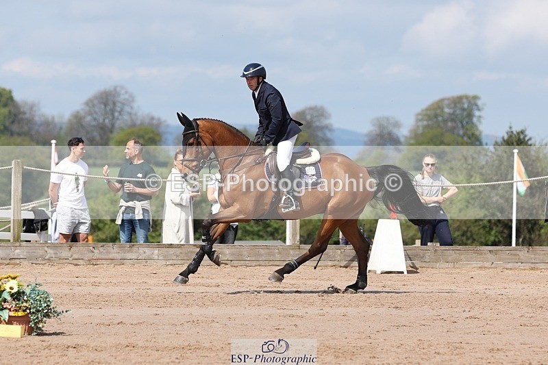 250427-113152-15970 - Cls 36 Young Horse 7yr old