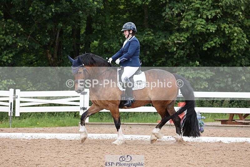 240621A-115207-00527 - Cls 12 BD Music Medium