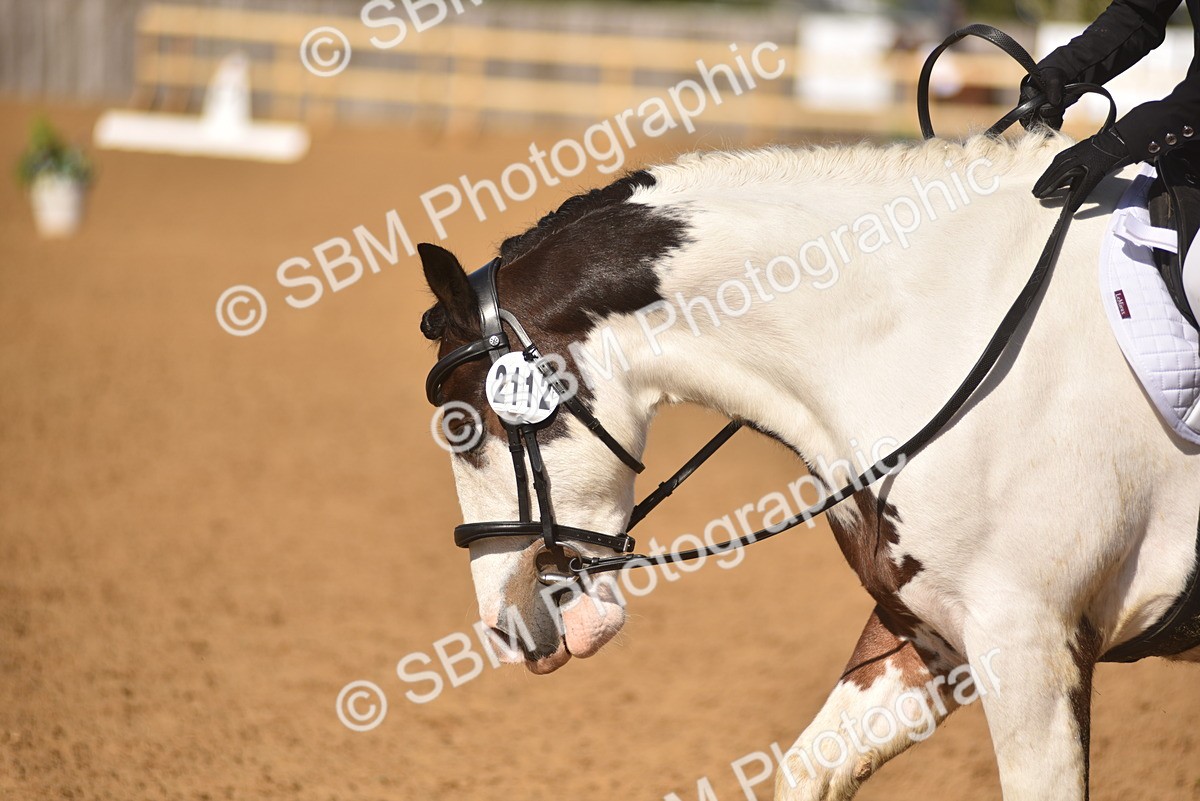 SBM_48707 - D22 - Junior Championship Intro 3