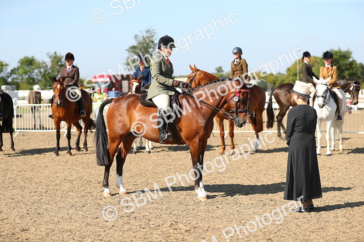 SBM_02323 - Class 43 Ridden Competition Horse/Pony