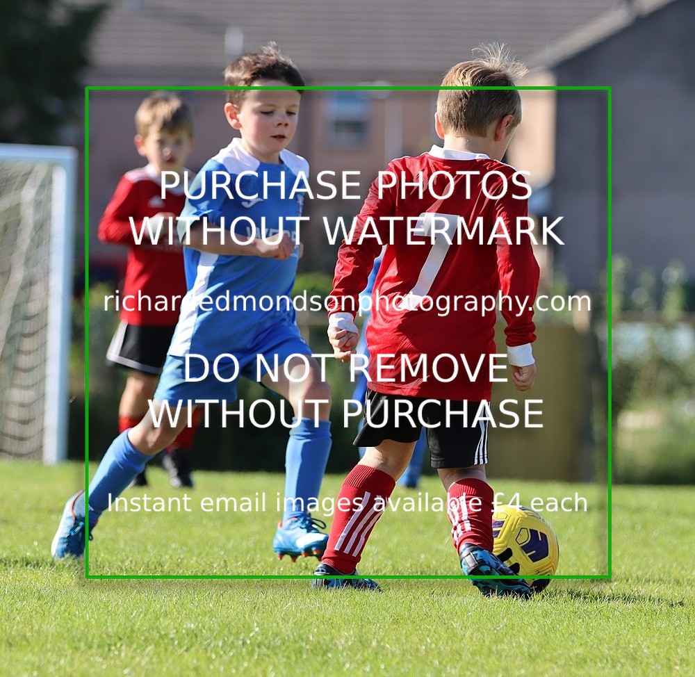 IMG_3122 - Wattsfield Under 7's v Grange Utd Under 7's (17/9/22)