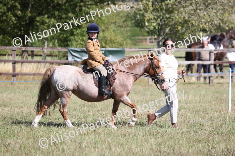 20260906-2165 - Class 16 - Family Pony