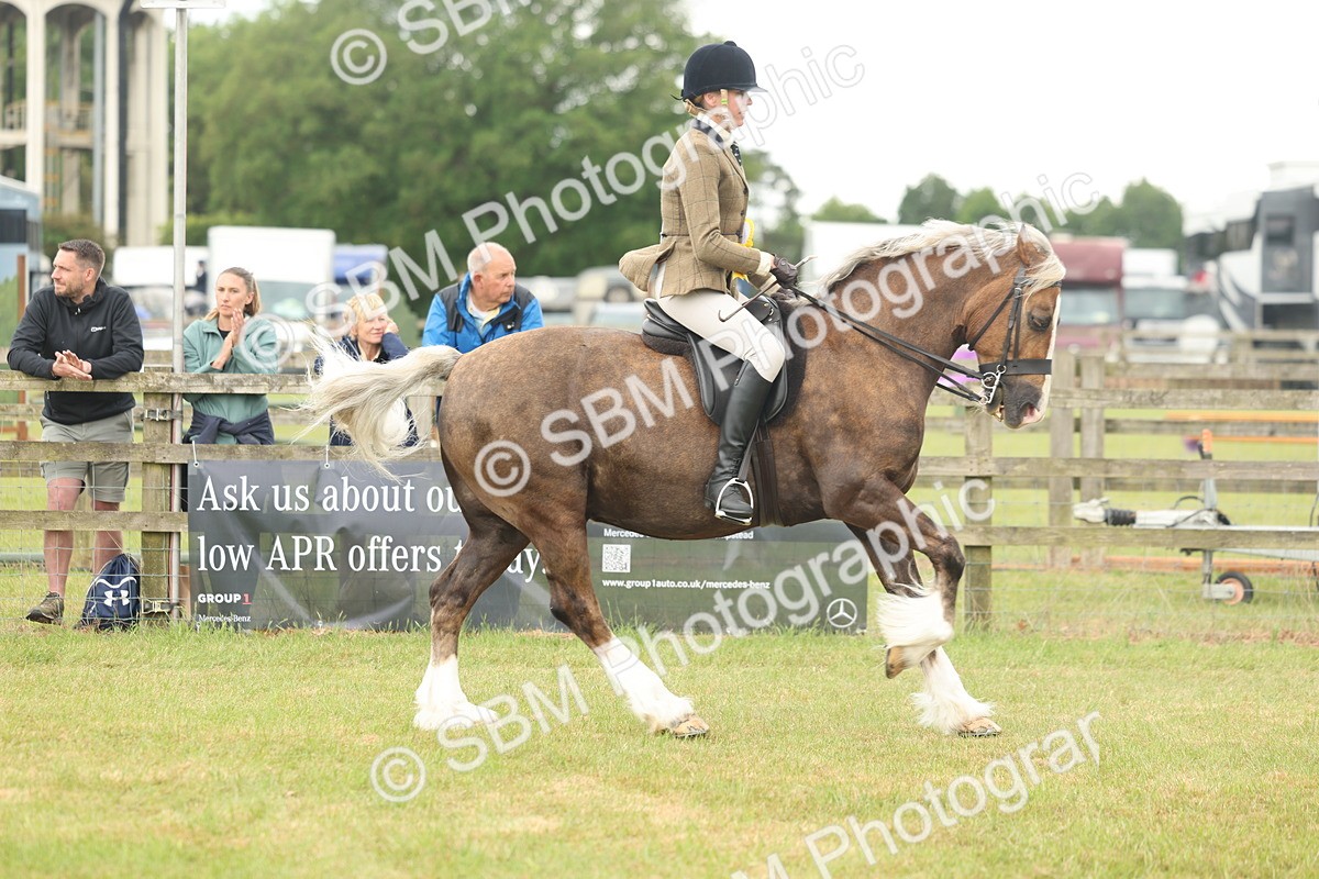 SBM_07275 - Class 76-77 - Ridden M&M Welsh Ponies