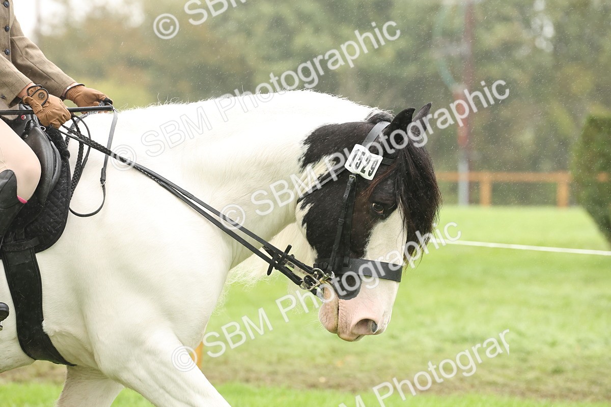 SBM_72656 - S70 - Traditional Cob Ridden