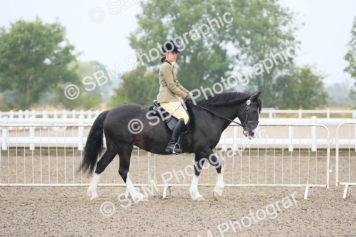 SBM_19839 - Class 801 - Ridden Veteran