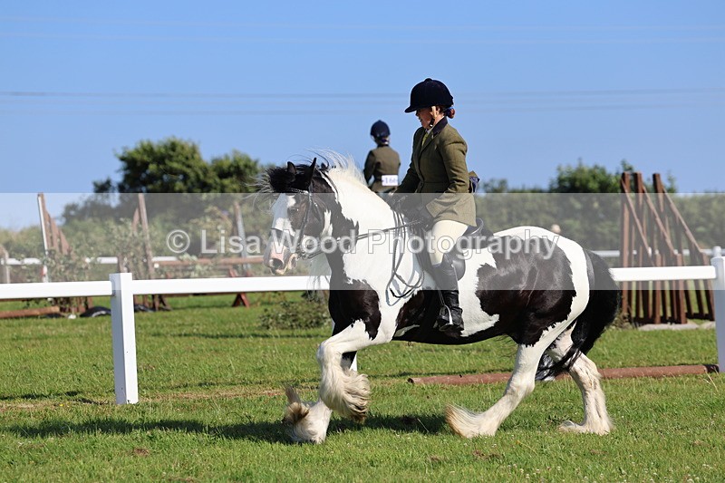 IMG_1521 - Class 30: Ridden Native/Trad Coloured Pony