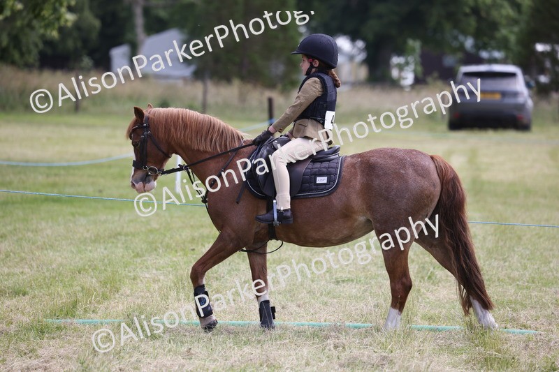 20260614-2104 - Class 21 - Novice Working Hunter Pony
