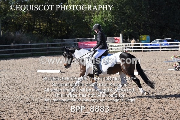 BPP_8883 - LONG ARENA