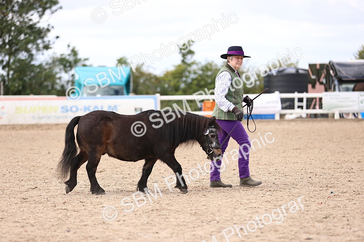 SBM_14184 - Class 415 - Horse-Pony judge would most like to take home (IH or Ridden)