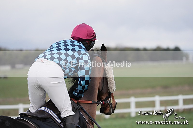 PtP 011224 302 - Hursley Hambledon Point-to-Point Larkhill 01/12/24