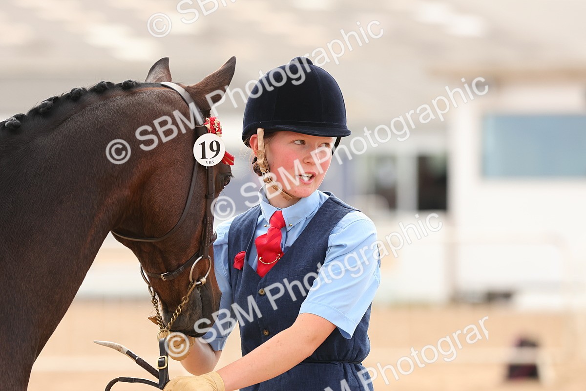 SBM_10203 - Class 205 - IH Show Pony - Show Hunter Pony