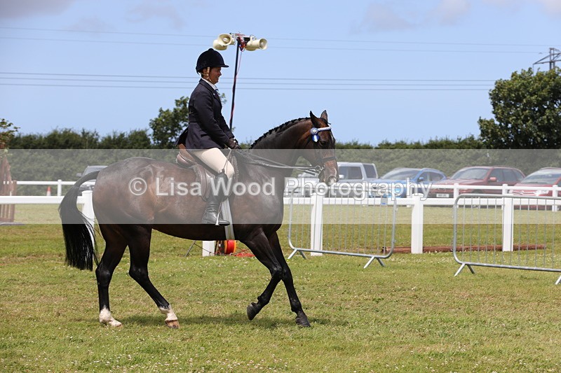 1X9A4378 - Class 34: Veteran Ridden