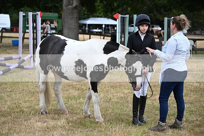 WJ6_4197 - Class 10 Coloured In-hand