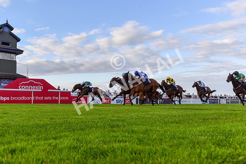 220724-Race 4-Alices Impact-0542 - Race 4