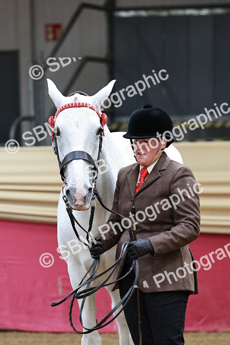 SBM_01292 - Class 3A - Area IH Pre-Vet