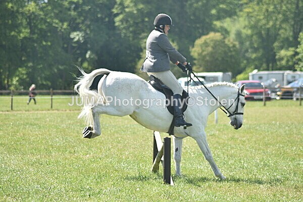 DSC_9202 - Rings 1 & 2
