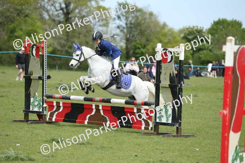 20260426-2020 - Class 15 - Absolute Novice 70cm