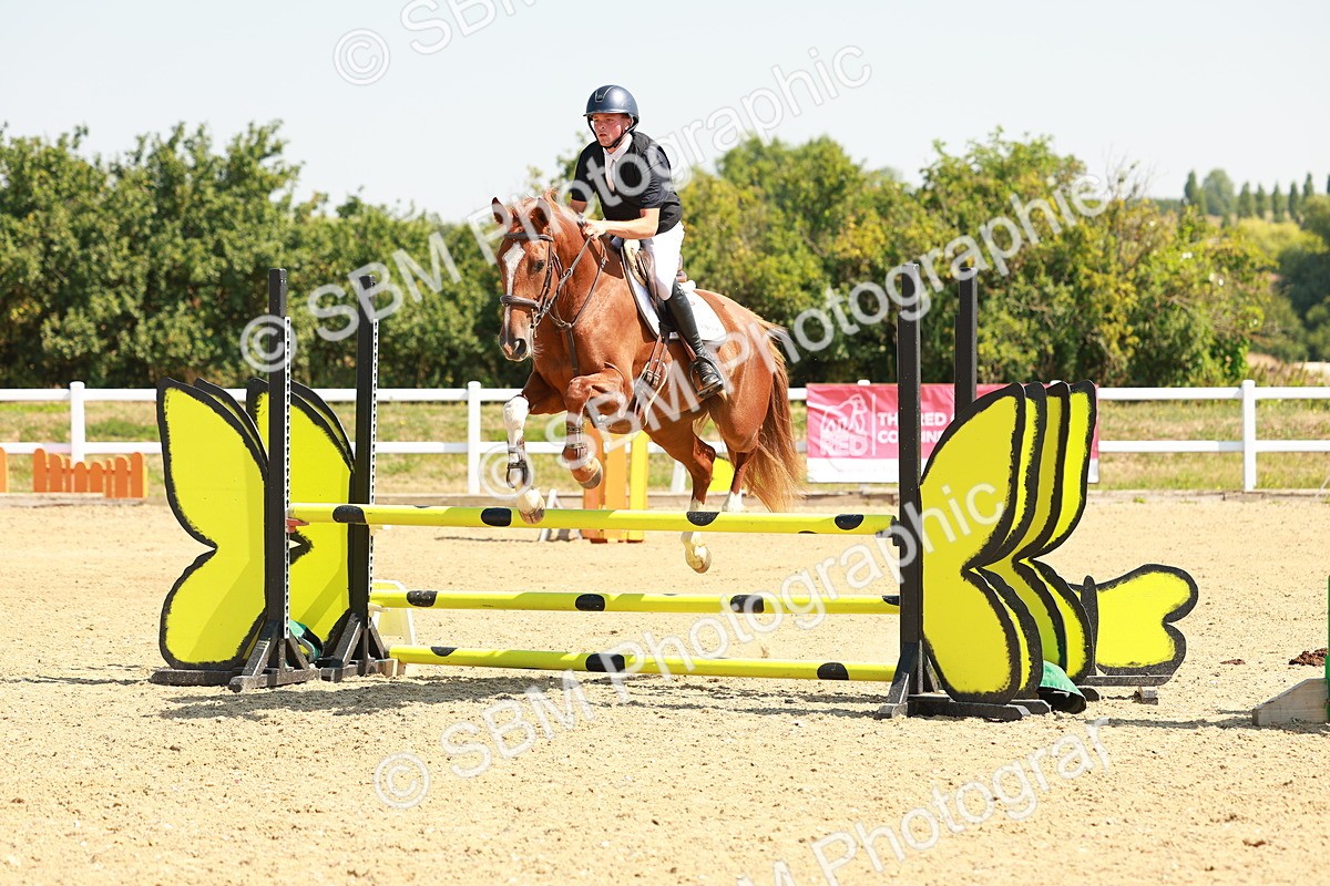 SBM_000597 - Class 2 - Senior British Novice - 90cm