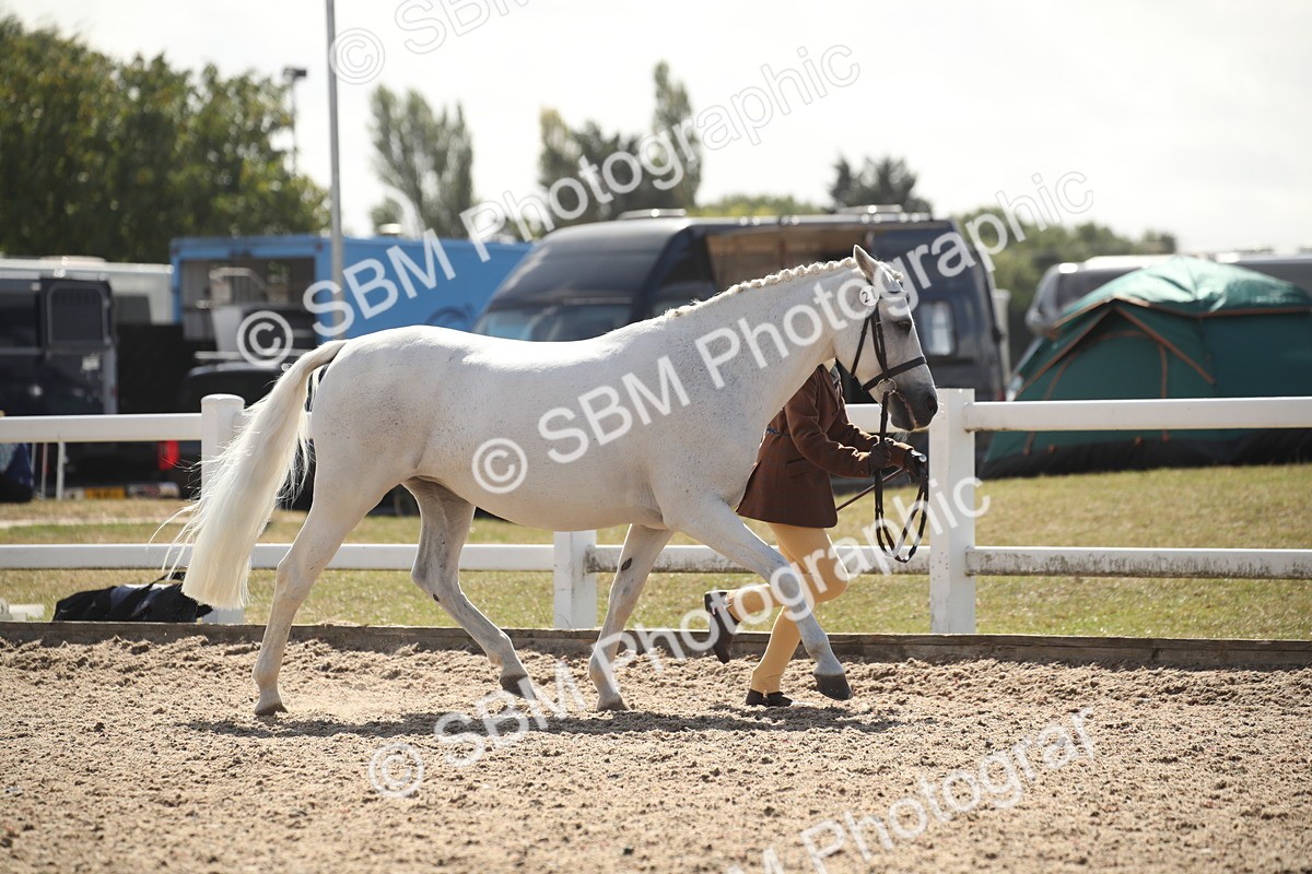 SBM_23521_Class 605 - 2026 - Area - IH Veteran - Vicky Gutteridge