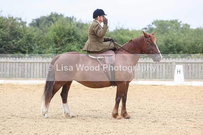 3E7A5499 - Class 2: Intro 4 2024 section B